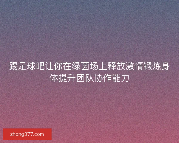 踢足球吧让你在绿茵场上释放激情锻炼身体提升团队协作能力 踢足球吧让你在绿茵场上释放激情锻炼身体提升团队协作能力
