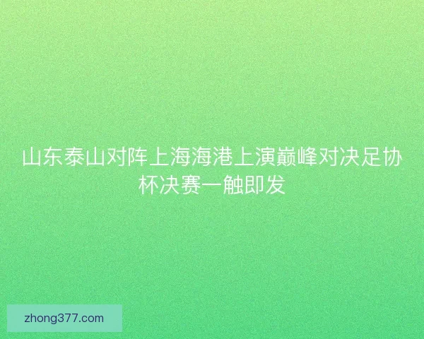 山东泰山对阵上海海港上演巅峰对决足协杯决赛一触即发 山东泰山对阵上海海港上演巅峰对决足协杯决赛一触即发